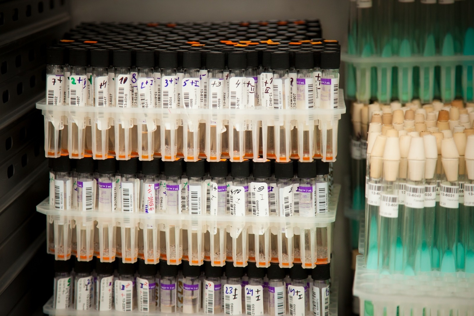 Tubes with samples
