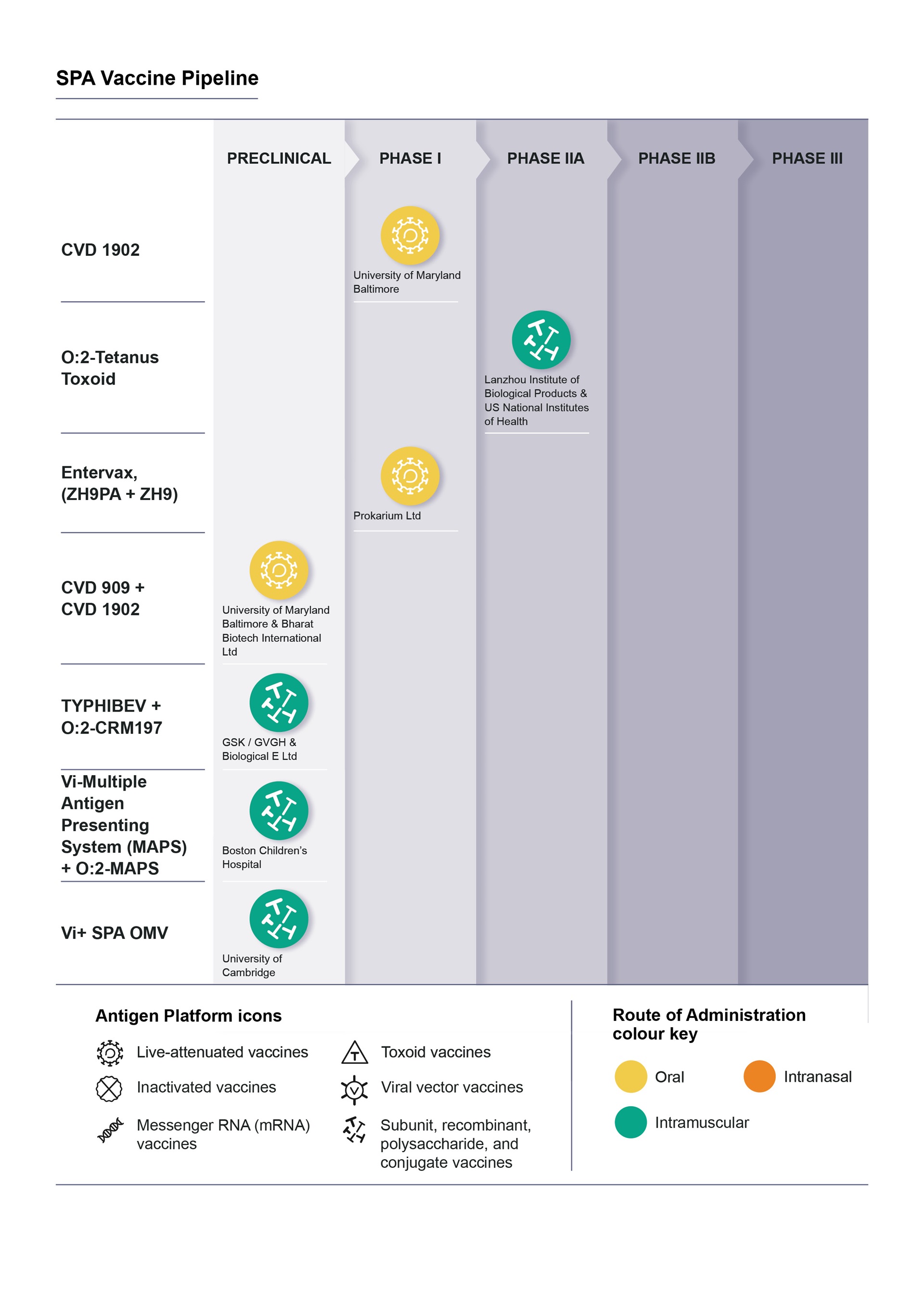 Diagram SPA - WHO IVB