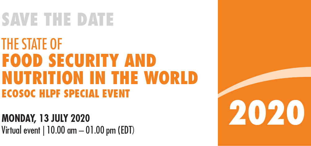 Launch of the 2020 State of food security and nutrition in the world flyer