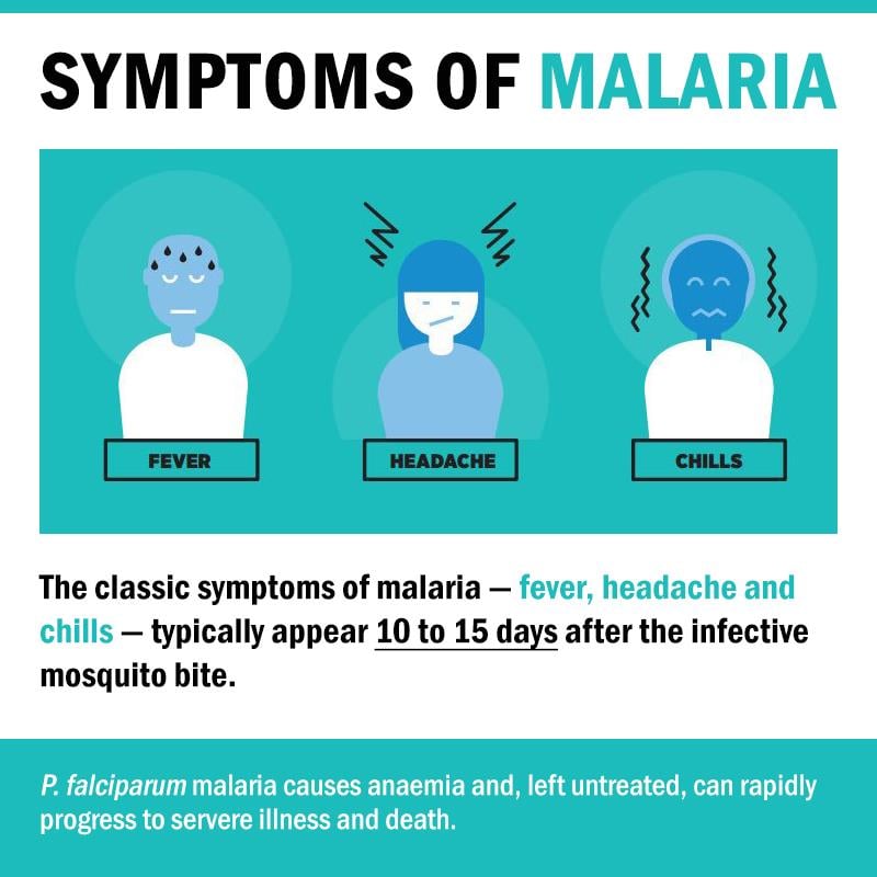 Symptoms of malaria